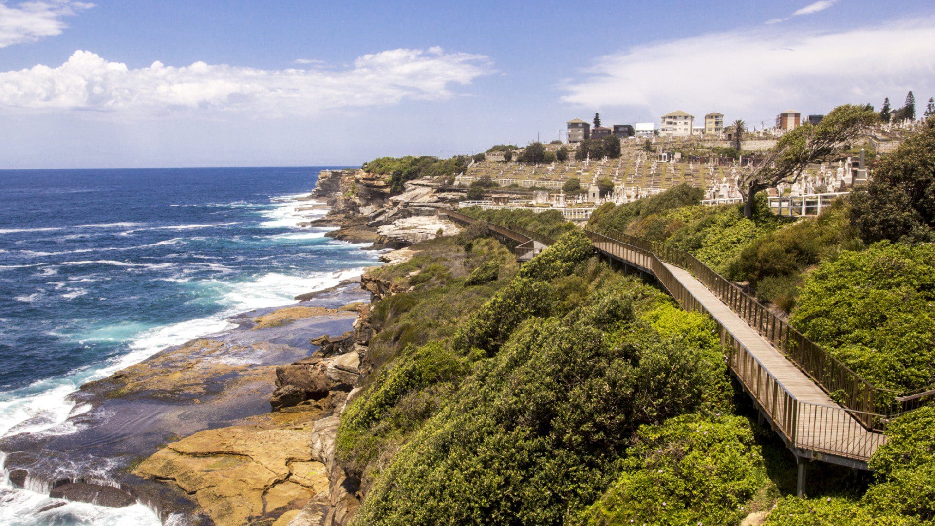 Bondi to Coogee Coastal Walk
