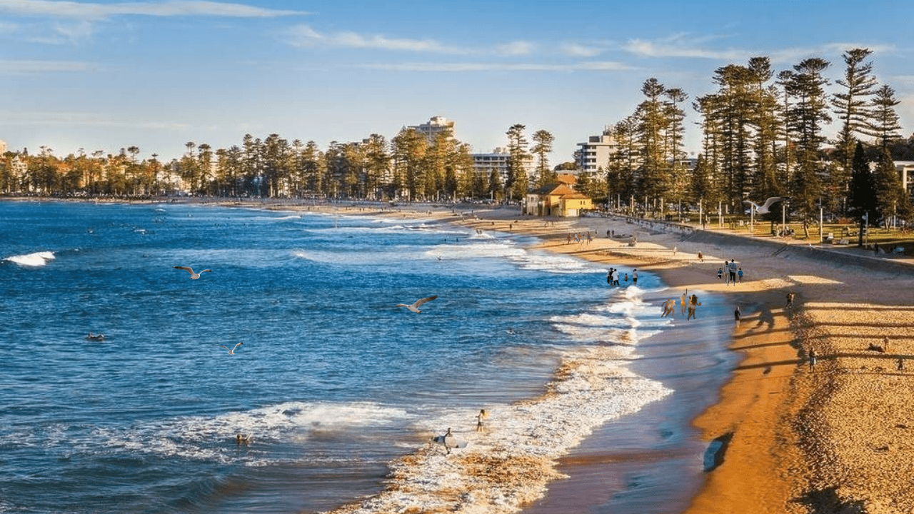 Manly beach