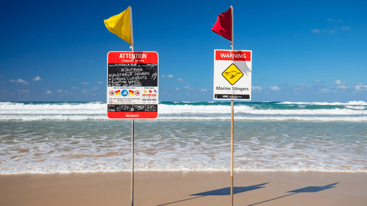 swim between the flags